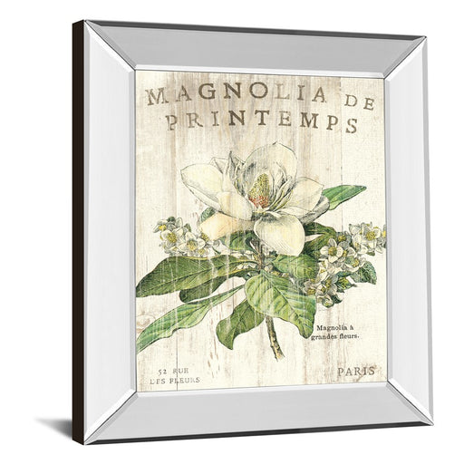 Classy Living Spring Magnolia Wall Art 22"x26", Mirrored Frame