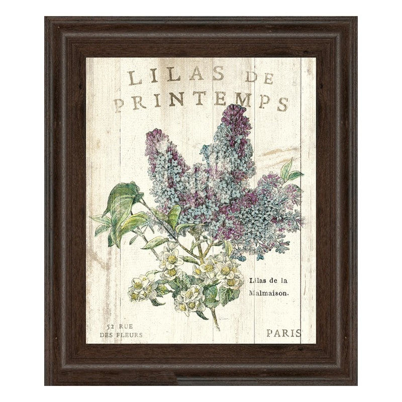 Classy Living Spring Iliac Dreams Wall Art 22"x26", Brown Frame
