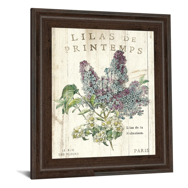 Classy Living Spring Iliac Dreams Wall Art 22"x26", Brown Frame