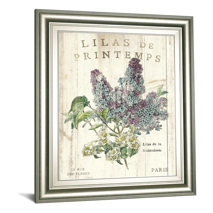 Classy Living Spring Iliac Dreams Wall Art 22"x26", Cinnamon Mocha Frame
