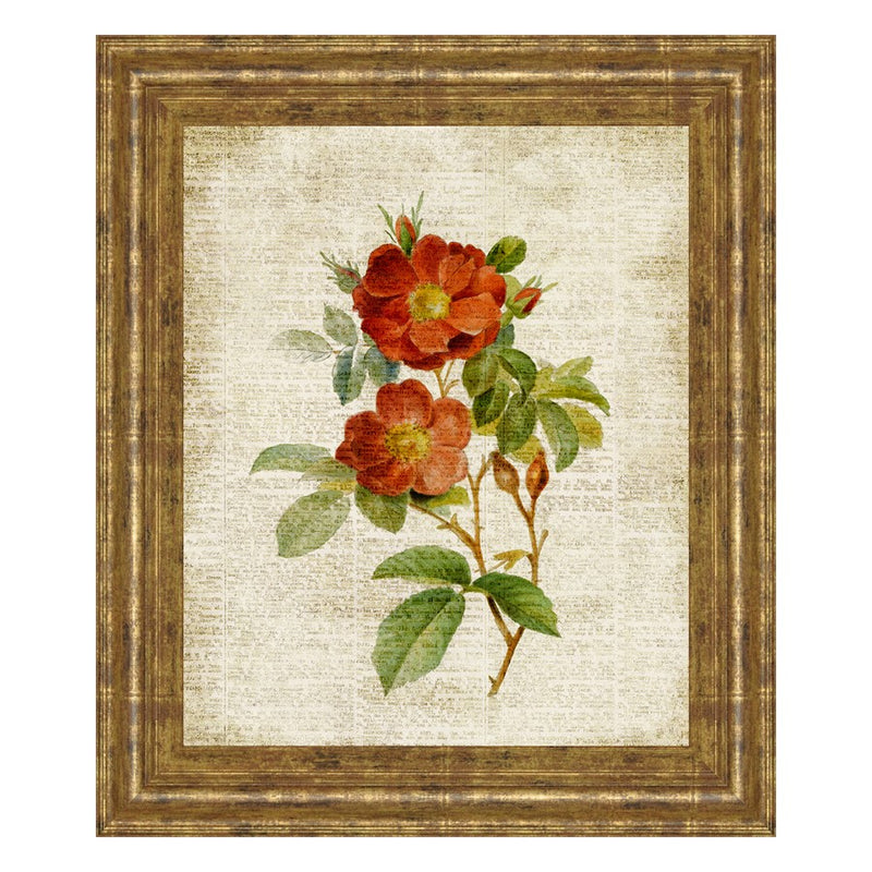 Classy Living Vintage Roses Wall Art 22"x26", GiIded Radiance Frame