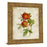 Classy Living Vintage Roses Wall Art 22"x26", GiIded Radiance Frame