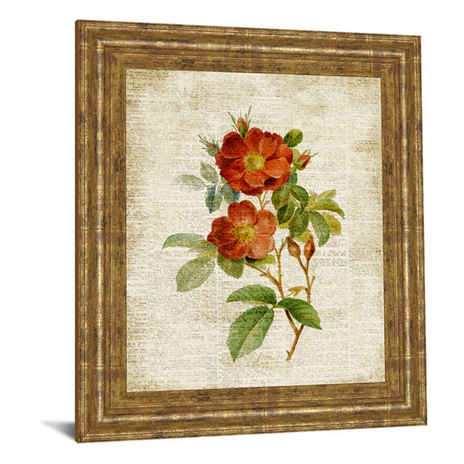 Classy Living Vintage Roses Wall Art 22"x26", GiIded Radiance Frame