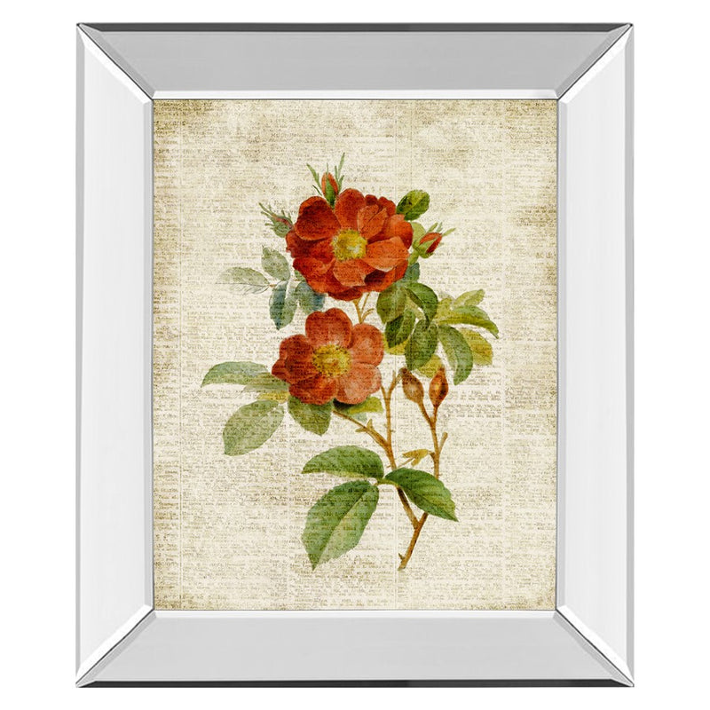 Classy Living Vintage Roses Wall Art 22"x26", Mirrored Frame
