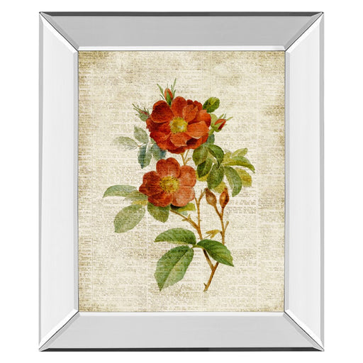 Classy Living Vintage Roses Wall Art 22"x26", Mirrored Frame - 8147MF