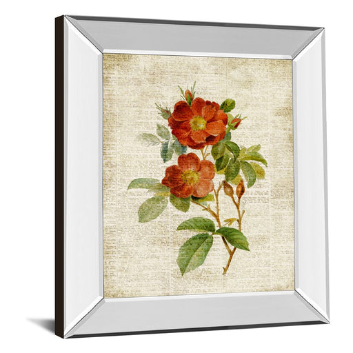 Classy Living Vintage Roses Wall Art 22"x26", Mirrored Frame
