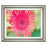 Classy Living Pink Bloom Wall Art 26"x22", Silver Serenity Frame - 8240