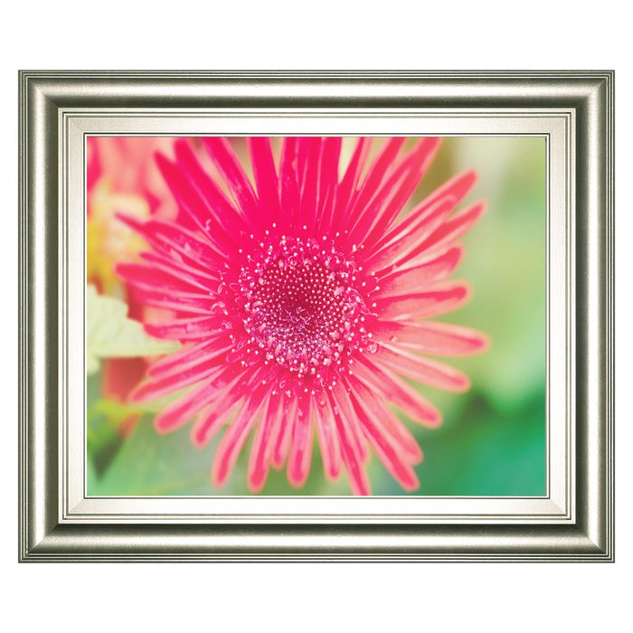 Classy Living Pink Bloom Wall Art 26"x22", Silver Serenity Frame - 8240
