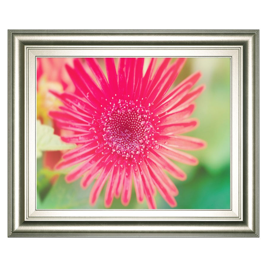 Classy Living Pink Bloom Wall Art 26"x22", Silver Serenity Frame - 8240