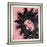 Classy Living Expressive Star Wall Art 22"x26", Silver Serenity Frame