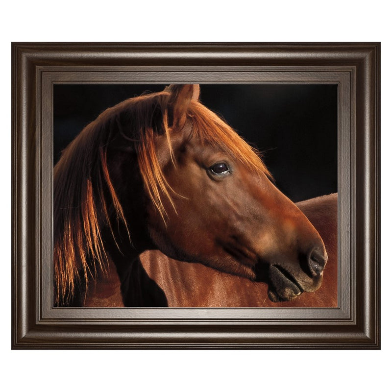 Classy Living Chestnut Majesty Wall Art 26"x22", Cinnamon Mocha Frame