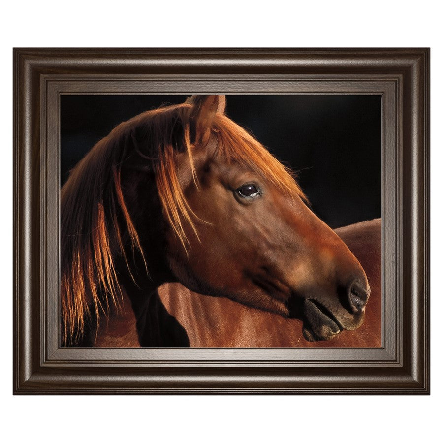 Classy Living Chestnut Majesty Wall Art 26"x22", Cinnamon Mocha Frame - 8388