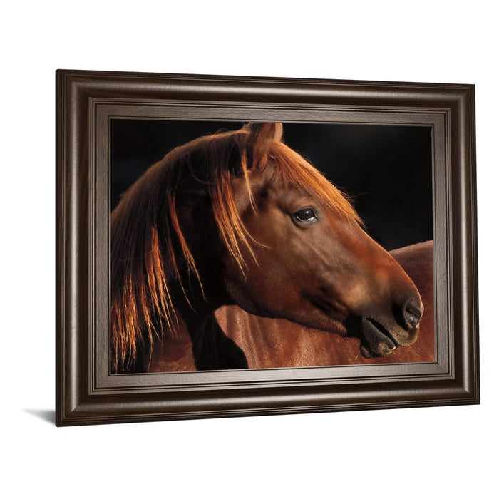 Classy Living Chestnut Majesty Wall Art 26"x22", Cinnamon Mocha Frame