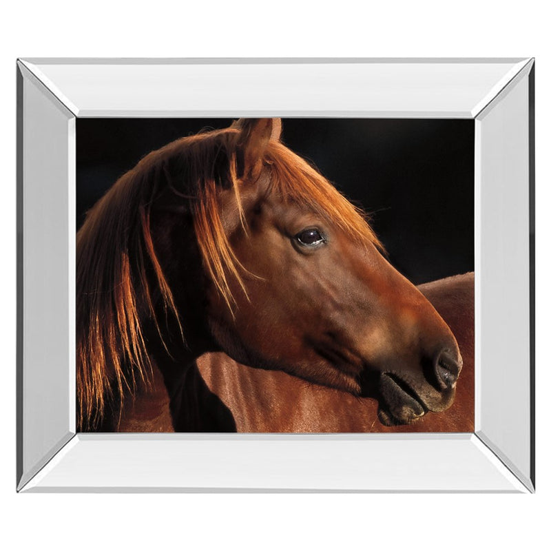 Classy Living Chestnut Majesty Wall Art 26"x22", Mirrored Frame