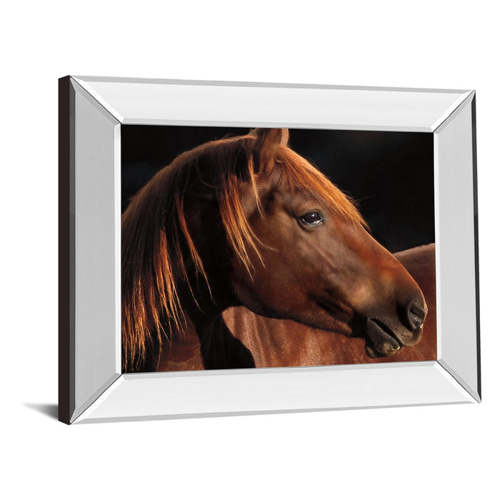Classy Living Chestnut Majesty Wall Art 26"x22", Mirrored Frame