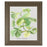Classy Living Fig Leaf Harmony Wall Art 22"x26", Tranquil Ash Frame