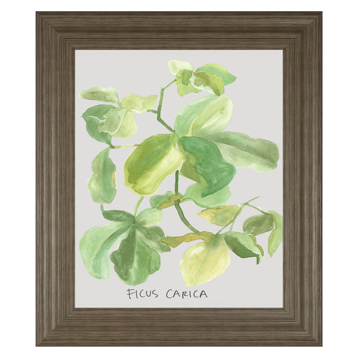 Classy Living Fig Leaf Harmony Wall Art 22"x26", Tranquil Ash Frame