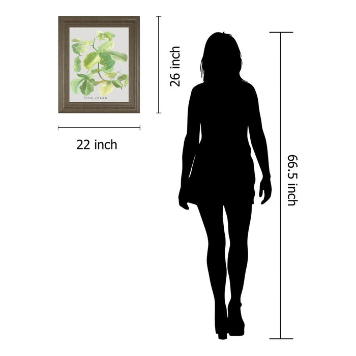 Classy Living Fig Leaf Harmony Wall Art 22"x26", Tranquil Ash Frame