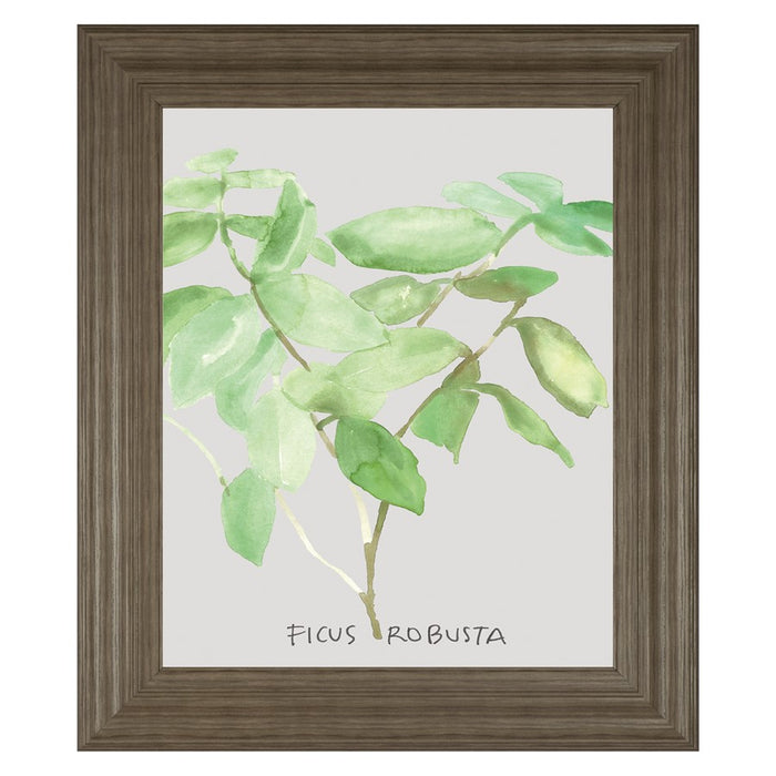 Classy Living Ficus Elegance Wall Art 22"x26", Tranquil Ash Frame