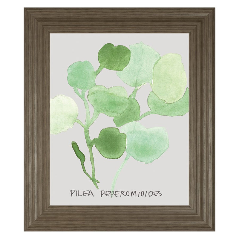 Classy Living Green Leaves Wall Art 22"x26", Tranquil Ash Frame