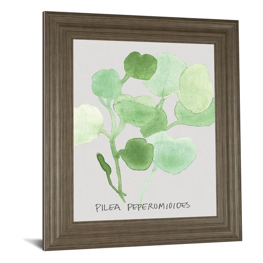 Classy Living Green Leaves Wall Art 22"x26", Tranquil Ash Frame