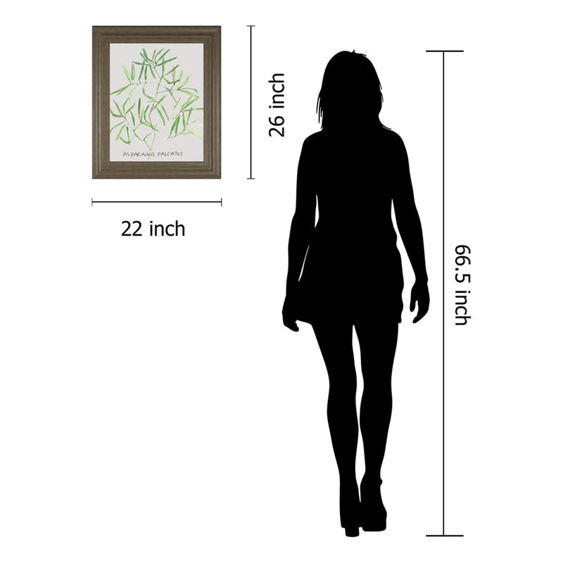 Classy Living Asparagus Falcatus Wall Art 22"x26", Tranquil Ash Frame
