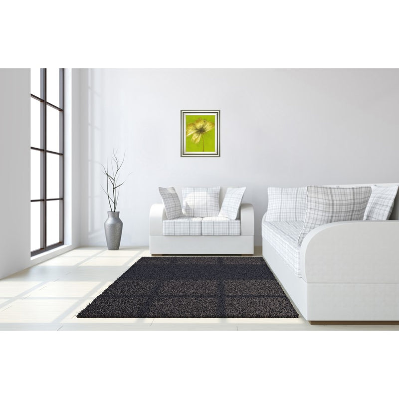 Classy Living Floral Burst Wall Art 22"x26", Silver Serenity Frame