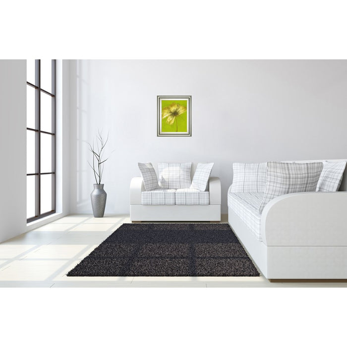Classy Living Floral Burst Wall Art 22"x26", Silver Serenity Frame