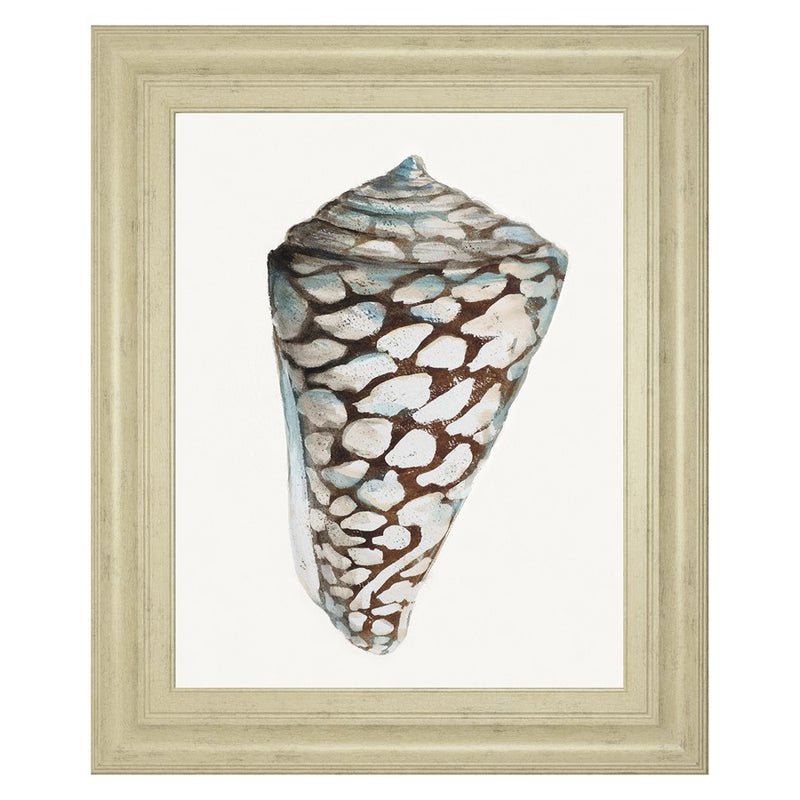 Classy Living Coastal Shell Wall Art 22"x26", Ivory Frame