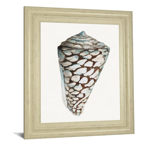 Classy Living Coastal Shell Wall Art 22"x26", Ivory Frame