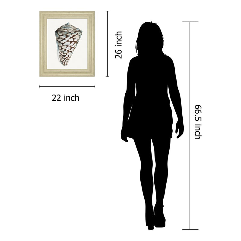 Classy Living Coastal Shell Wall Art 22"x26", Ivory Frame