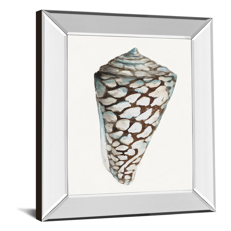 Classy Living Coastal Shell Wall Art 22"x26", Mirrored Frame
