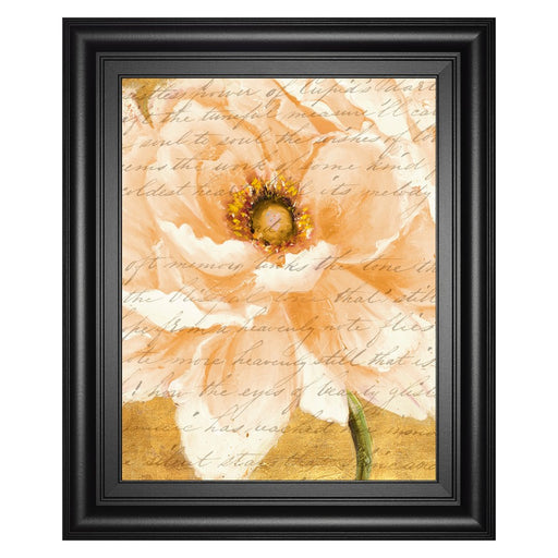 Classy Living Cream Peonies Script I Wall Art 22"x26", Midnight Frame - 8498