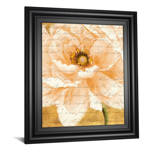 Classy Living Cream Peonies Script I Wall Art 22"x26", Midnight Frame