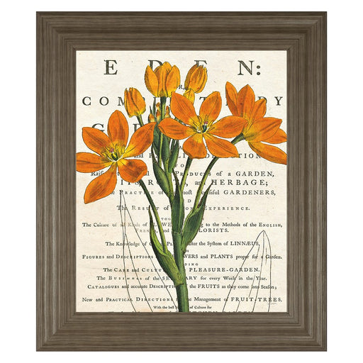 Classy Living Orange Blooms Wall Art 22"x26", Tranquil Ash Frame