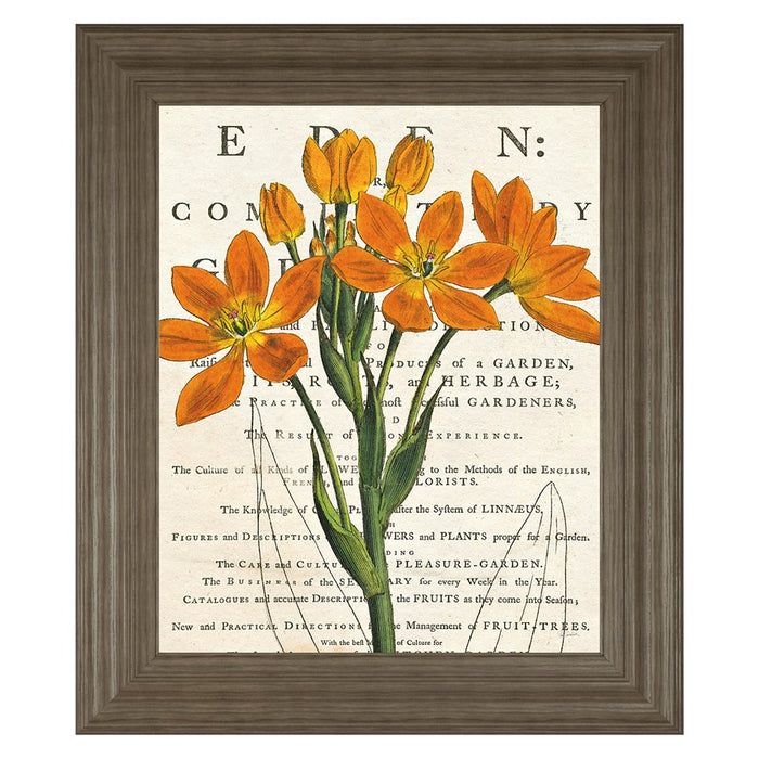 Classy Living Orange Blooms Wall Art 22"x26", Tranquil Ash Frame