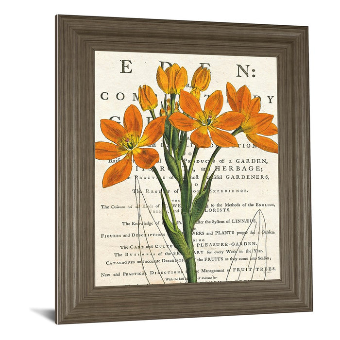 Classy Living Orange Blooms Wall Art 22"x26", Tranquil Ash Frame