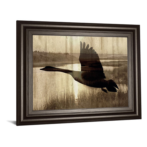 Classy Living Silent Flight Wall Art 26"x22", Dark Chocolate Frame