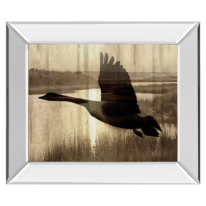 Classy Living Silent Flight Wall Art 26"x22", Mirrored Frame