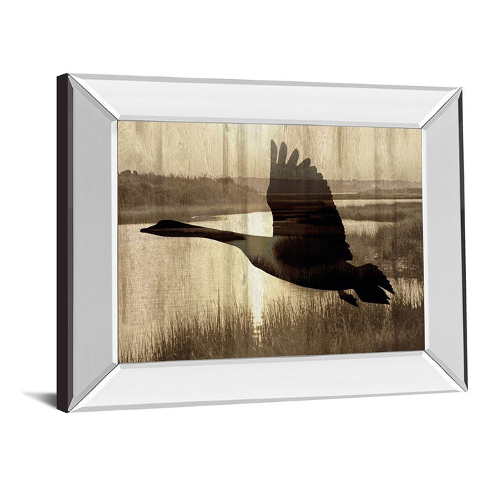 Classy Living Silent Flight Wall Art 26"x22", Mirrored Frame