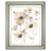 Classy Living Translucent Garden Wall Art 22"x26", Silver Serenity Frame - 8581