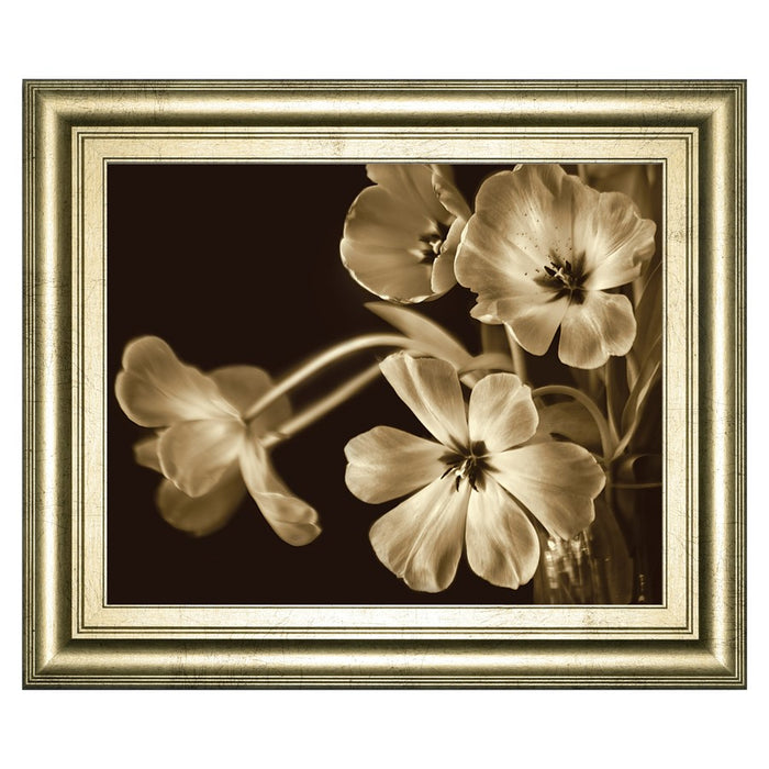 Classy Living Sepia Blooms Wall Art 26"x22", Crisp Chardonnay Frame