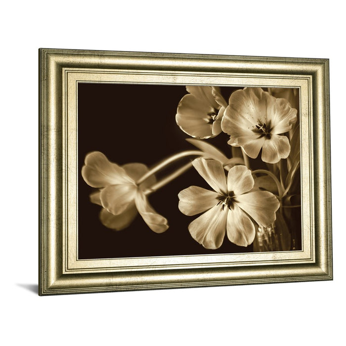 Classy Living Sepia Blooms Wall Art 26"x22", Crisp Chardonnay Frame