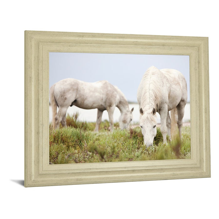 Classy Living Serene Grazing Horses Wall Art 26"x22", Ivory Bliss Frame