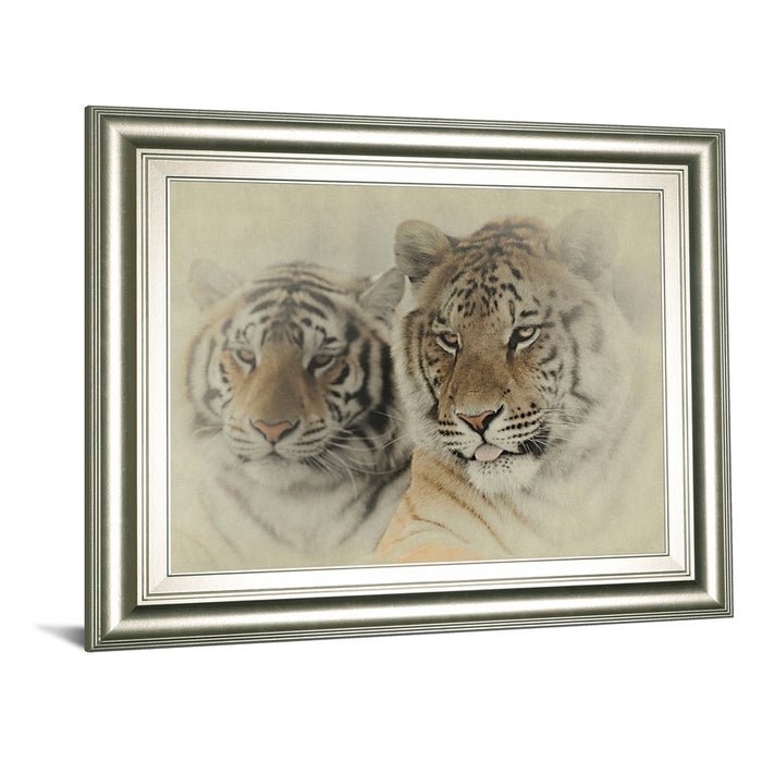 Classy Living Mystic Tigers Wall Art 26"x22", Silver Serenity Frame