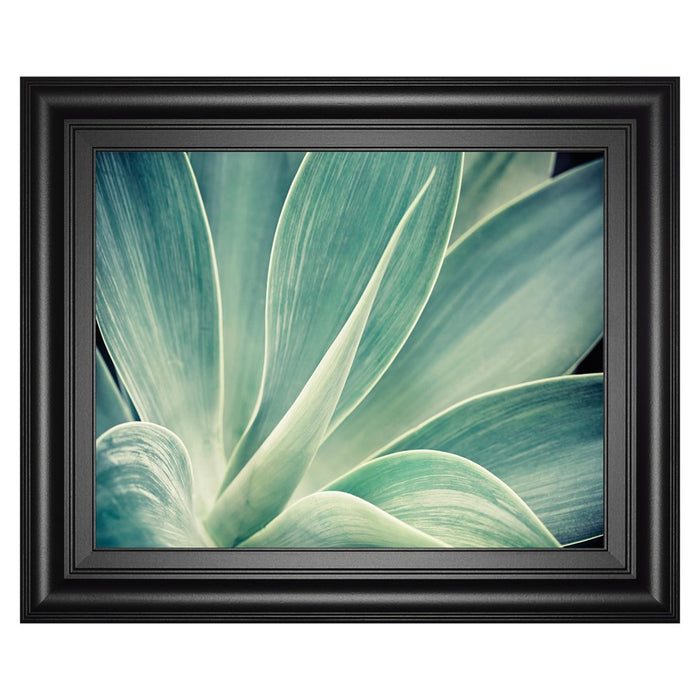 Classy Living Fresnillo Wall Art 26"x22", Midnight Aura Frame