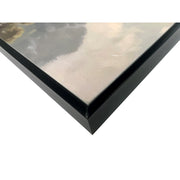 Classy Living Wild Hearted Jurassic Trail, Black/Brown/Beige/Gray