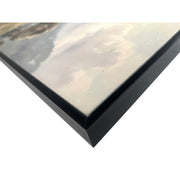 Classy Living Wild Hearted Jurassic Trail, Black/Taupe/Gray/Green/Ivory