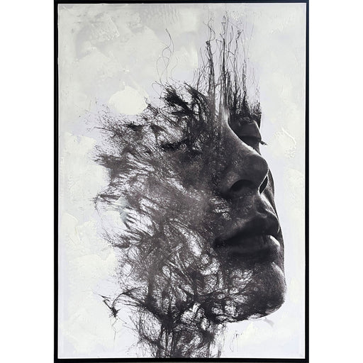 Classy Living Dramatic Veiled Reverie 40"x28", Black/White/Gray