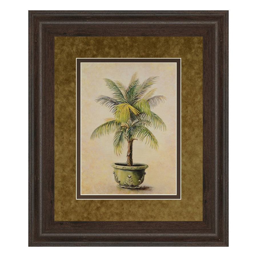 Classy Living Verdant Palm Display Wall Art Double Mat 34"x40",